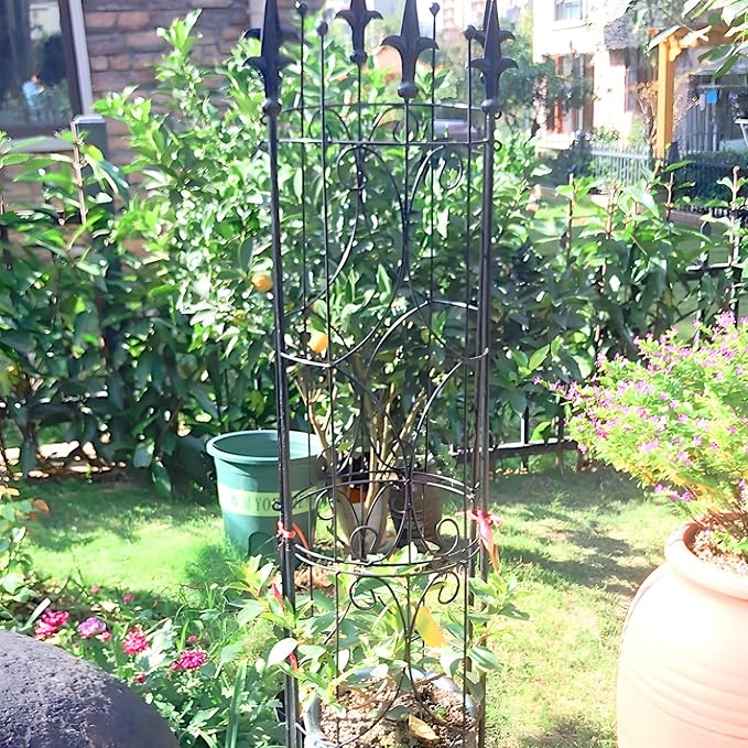 Garden Trellis 2 Pack 72'' H x 12'' W Metal Plant Trellis Indoor/Outdoor Metal Garden Trellis Plant Trellis for Potted Plants Climbing Houseplants Flowers