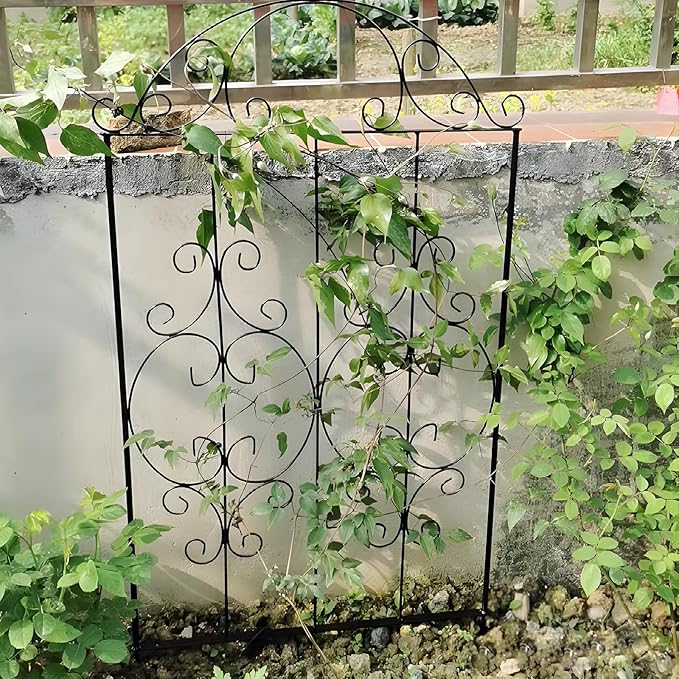 Garden Trellis 2 Pack 80 Inch.H x 22 Inch.W Heavy-Duty Climbing Plant Trellis Metal Plant Supports Suitable Supporting Climbing Plants Outdoor, Roses, Vegetables, Vines, Flowers