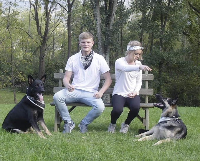 $averPak Pets - InsectGuard Permethrin Treated Mosquitoes, Flies, Ticks & More Insect Repellent Dog Bandanna Paisley (Hunter Green)