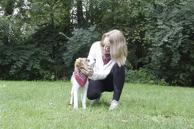 $averPak Pets - InsectGuard Permethrin Treated Mosquitoes, Flies, Ticks & More Insect Repellent Dog Bandanna Paisley (Burgundy)