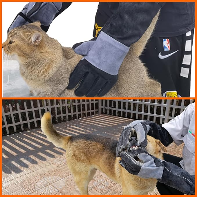 21.3 In Leather Welding Gloves for Animal Handling,Grabbing Reptile, Grooming,Trips to Vet,BBQ,Fireplace.Puncture & Scratch Resistant, Bite Proof for Cat Dog Bird Falcon Livestock Snake M Black