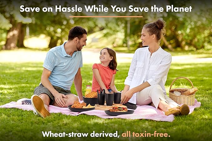 FOODLE Wheat Straw Dinnerware Set - BPA Free & Safety Tested - Microwave & Dishwasher Safe - Alternative to Plastic Dishes - Perfect for Outdoor, RV, Dorm - Camping Plates Cups and Bowls Set - For 4