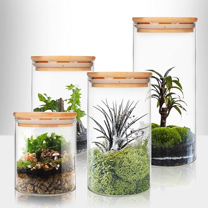 Glass Food Storage Containers Jars with Airtight Bamboo Lid 16 oz 9 pcs, 490 ml Pantry Organization Jar, Glass Terrarium with Lid, Spice, Flour and Sugar Container, Canister Set for Kitchen Counter
