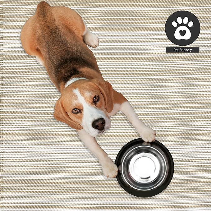 FH Home Outdoor Camping Rug - Waterproof, Fade Resistant, Reversible - Premium Recycled Plastic - Striped - Large Patio, Deck, Sunroom, RV - Havana - Beige - 9 x 12 ft Foldable