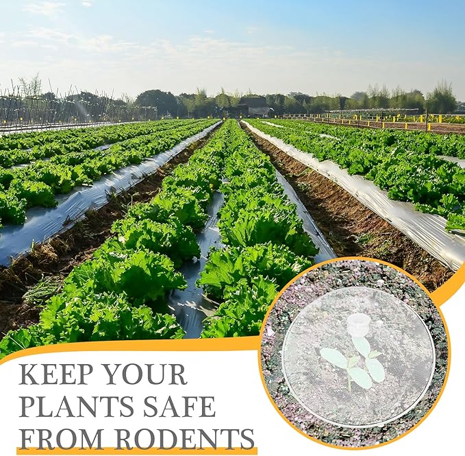 Gerrii 6 Pcs Metal Mesh Food Cover Outdoor Mesh Food Tents Dome Screen Plate Covers for Dinner Plates Reusable Fruit Fly Nets Picnic Food Umbrella for Table, BBQ, Camping, Party (White,11 Inch)