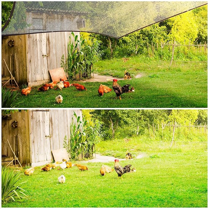 50% Black Shade Cloth, 10 x 10 FT Sun Shade Net with Grommets, Garden Sunblock Shade Cloth Shading for Greenhouse, Plant, Pergola, and Backyard Patio