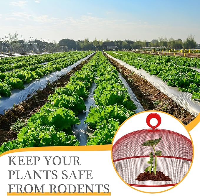 Gerrii 6 Pcs Metal Mesh Food Cover Outdoor Mesh Food Tents Dome Screen Plate Covers for Dinner Plates Reusable Fruit Fly Nets Picnic Food Umbrella for Table, BBQ, Camping, Party (Red,11 Inch)