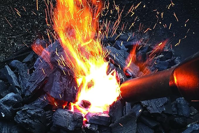 BISON AIRLIGHTER 420 | Cordless Fire Starter | Camping Essential | Torch Lighter | Perfect for Fire Pits, Camping, Charcoal Grills, Fireplaces, and Wood Stoves | Refillable Butane with Built-In Blower