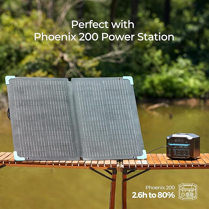 Renogy 80 watt Portable Solar Panel for Power Station, 12v Foldable Solar Panel for Camping RV of 23.5% Efficiency Mono Solar Module, with IP67 etfe Lamination, Adjustable Kickstand for Off Grid